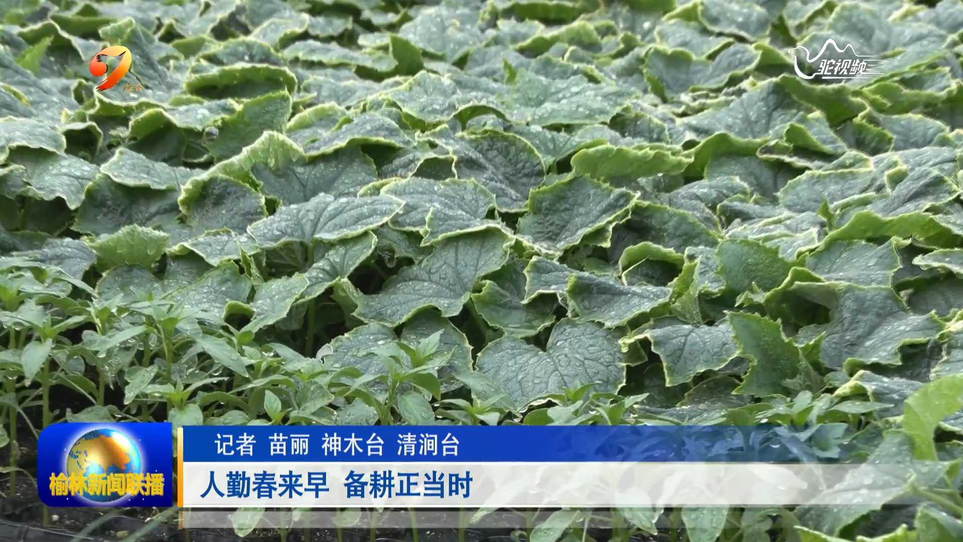 榆林“出实招”加强农村基础设施建设